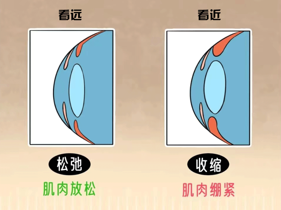 看遠看近.gif