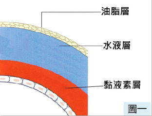 用眼過度后眼睛干澀疲勞一定要警惕干眼癥！