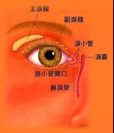別讓冷空氣變成淚道病的“導火線”！