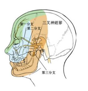 眼睛帶狀皰疹對(duì)視力的傷害