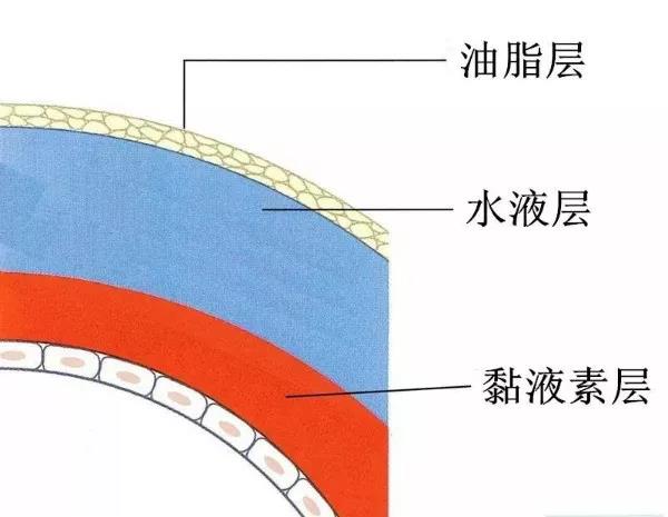手機(jī)刷屏不離手？當(dāng)心干眼癥！