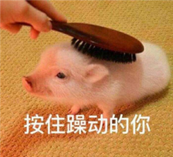 宅家護(hù)眼