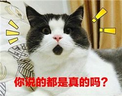 什么是弱視