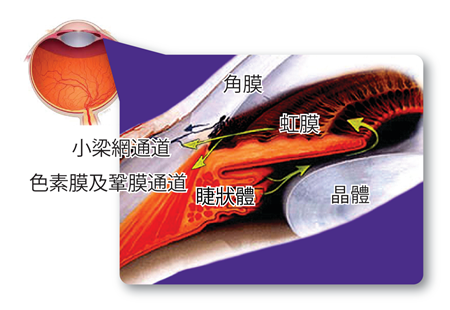 眼內房水
